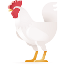 Hen