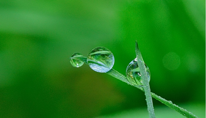 Save water